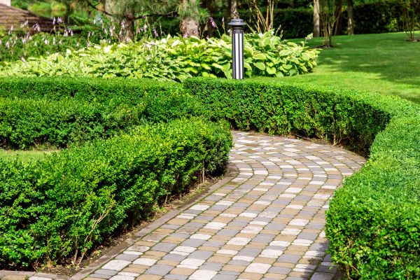 Paved Landscaping in Murrells Inlet