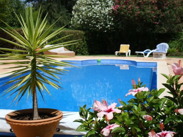 Pool Terrace Renovation in Murrells Inlet